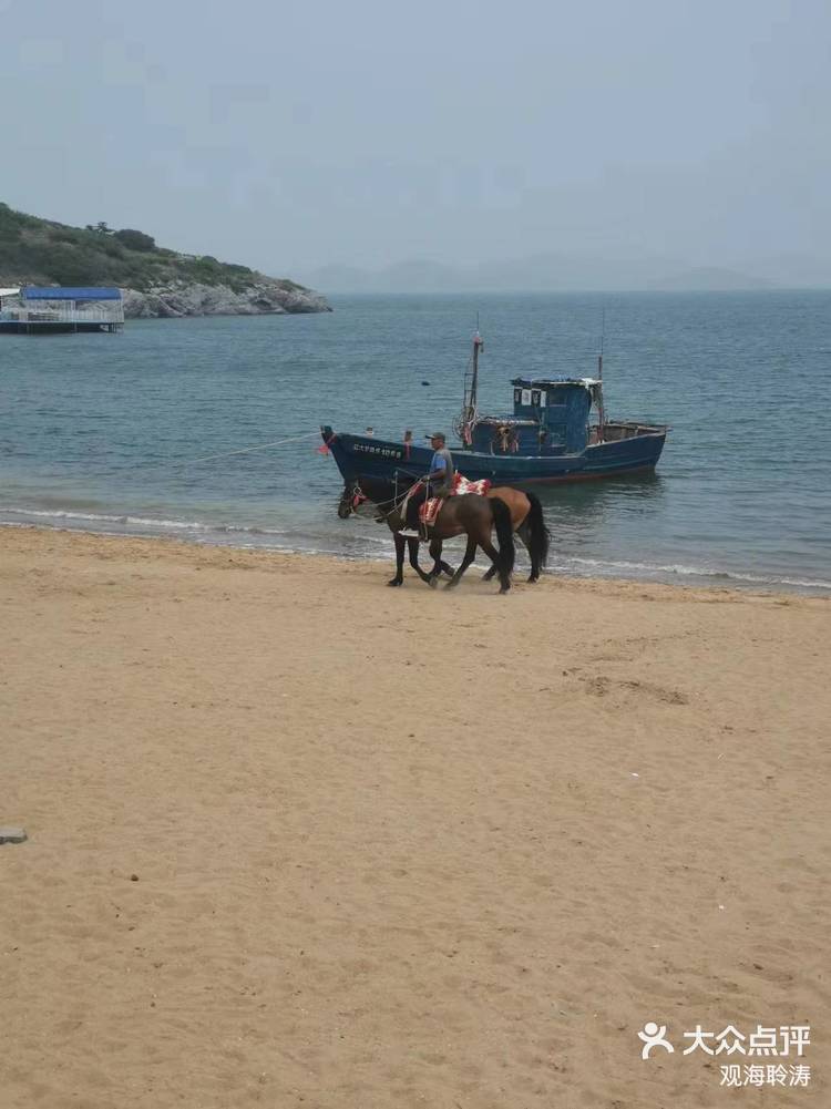 大连大黑石海滨浴场图片