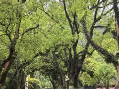 -桂林独秀峰王城景区