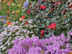 -人民公园(罗湖区)