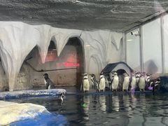 -太平洋海底世界