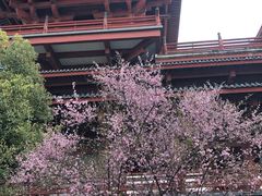 -陈武帝故宫