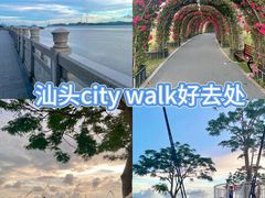 -华侨公园