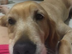 -奈雪的茶(南山大冲一期店)