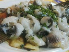 -鸽王世家(东华东路店)