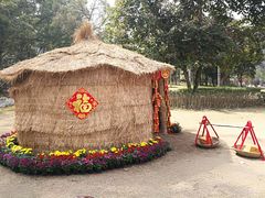 -南宁良凤江国家森林公园