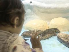 -大连圣亚海洋世界