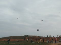 -白鹭湾湿地公园