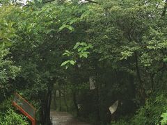 -杭州半山国家森林公园