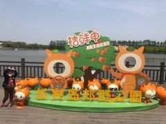 -上海长兴岛郊野公园