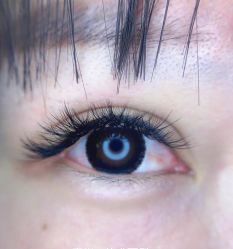 -归真美学颜究中心