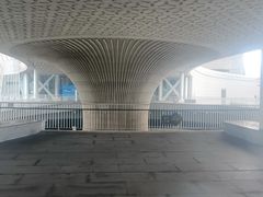 -福州海峡文化艺术中心