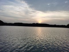 -昆山城市生态森林公园