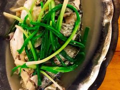 -Draft Beer Restaurant & Bar