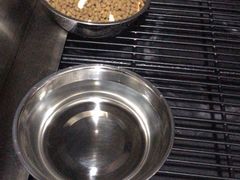 -PETKIT小佩宠物·低压洗护(国顺东路店)