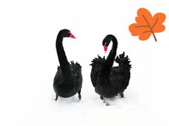 -清真耀峰成·小吃(苏州街店)