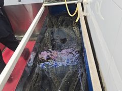 -活鱼馆(宜兴埠店)