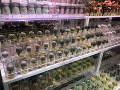 店内环境-KKV(深圳宏发大仟里店)