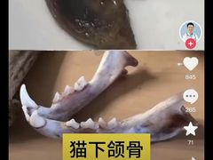 -唐猛猛湘乐汇(银泰城店)