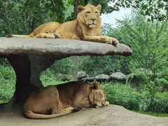 -北京野生动物园