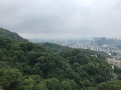 -福道
