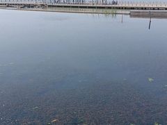 -滆湖低碳生态公园