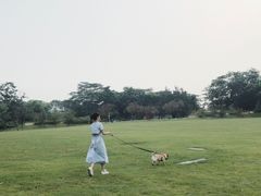 -东莞植物园