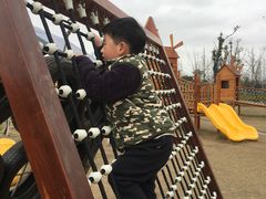 -上海长兴岛郊野公园