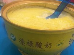 -德禄酸奶(莫家街店)