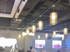 -小肥牛潮汕牛肉火锅(南联店)