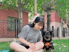 -宠福鑫动物医院(城北分院)