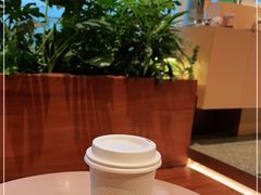 -Seesaw Coffee(朝阳大悦城店)