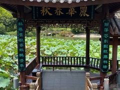 -龙头寺公园
