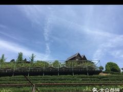 -天地生态农庄
