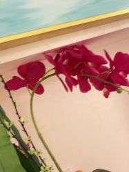 -薇兰专业脱毛连锁机构