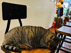 -HUG COFFEE(鼓楼店)