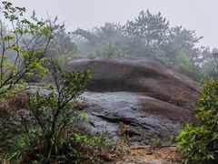 -玉苍山国家森林公园