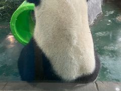 -杭州野生动物世界