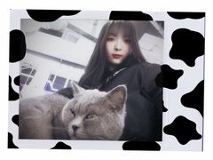 -极木²邸 人与宠物·互动社区
