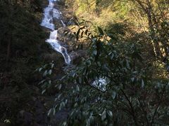 -东天目山风景区