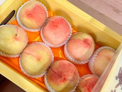 -南汇水蜜桃采摘(大团店)