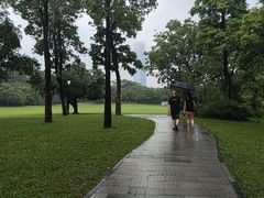 -莲花山公园