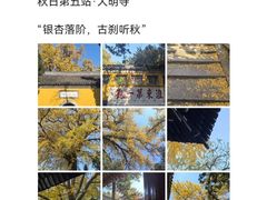 -陈记菜馆·非遗淮扬菜(东关街教场店)