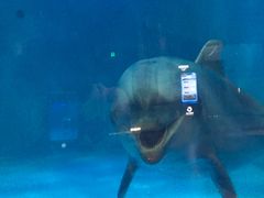 -华夏文旅西安度假区