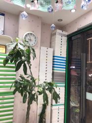 -苗医生0感科技祛痘