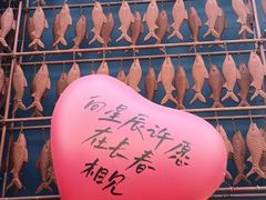 -张氏鱼庄