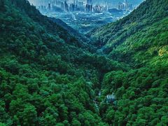 -大奇山国家森林公园