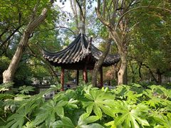 -汇龙潭