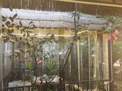 -醉月城西昌火盆烧烤(天府店)