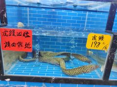 -醉壹号海鲜大排档(厦门美食地标店)