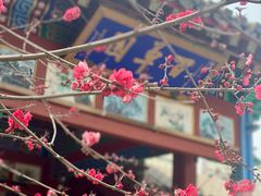 -有喜胶东小馆(超极合生汇太申祥和店)